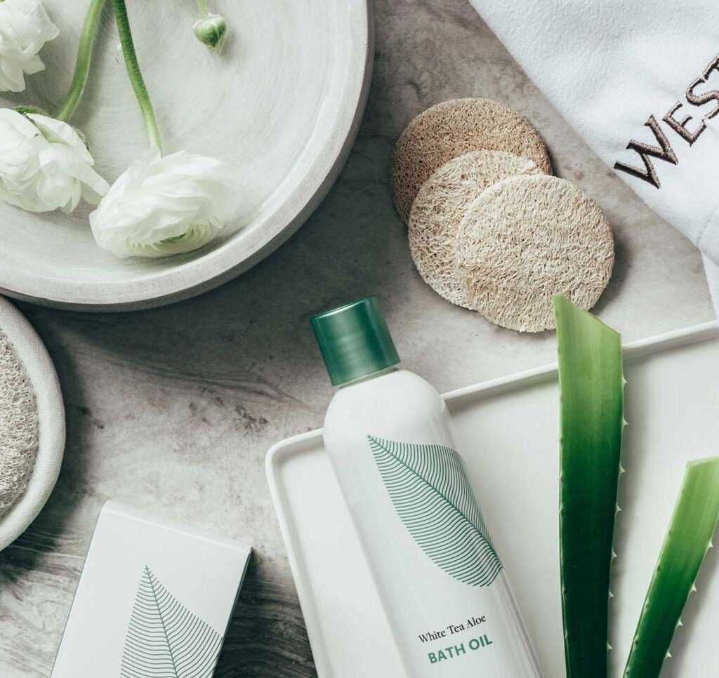 aloe vera dit erfahrungen Aloe Vera Gel  Abnehmen im Liegen Shop